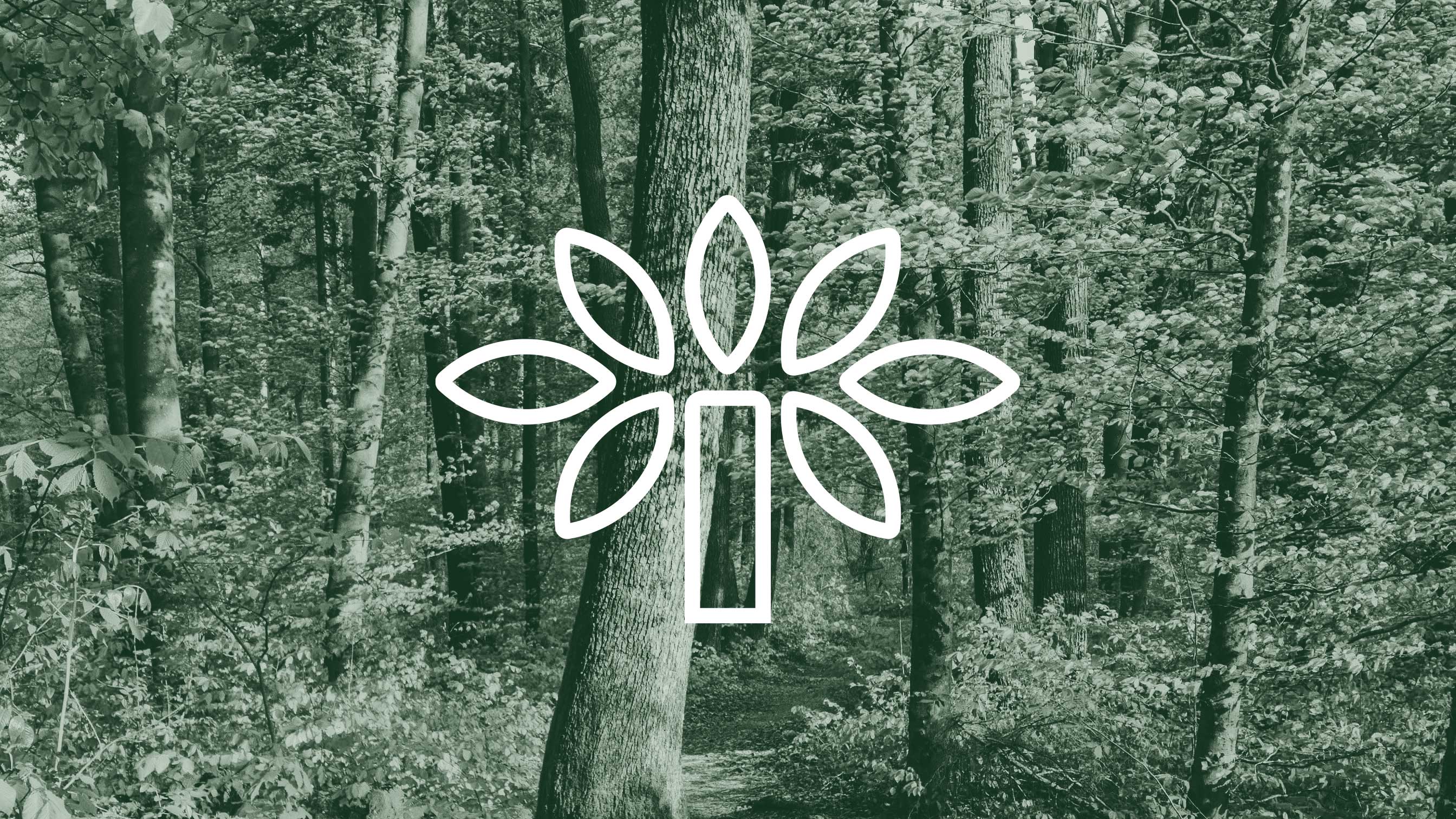 Local Forests Global Logo Symbol Design Superimposed Over a Forest Image